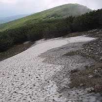 Ancora Neve sul Mutria, il 20 di Giugno !