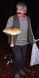 Una grande "Mazza di Tamburo"  (Macrolepiota Rhacodes)