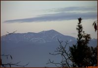 Il Monte Miletto da Casafredda (Teano, CE)